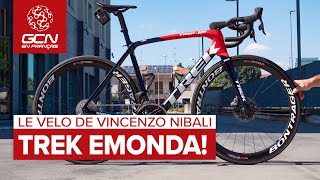 Le vélo de Vincenzo Nibali  Le Trek Emonda SLR [upl. by Aimar184]