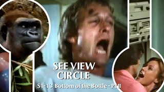 The Gorillas and Grit of Knots Landing S113 quotBottom of the Bottle Pt IIquot [upl. by Leterg956]