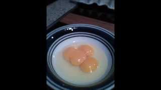 Quadruple Four Yolk Egg [upl. by Assetal]