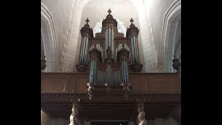 Christophe Moyreau  Les Cloches dOrleans Historic organ Louis LEBE 1696 Chaource [upl. by Leizar]