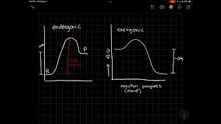 Exergonic vs endergonic reaction diagrams [upl. by Bloch359]