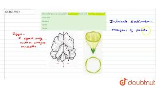 Which of these is an example for zygomorphic flower with imbricate aestivation  12  MORPHOLOG [upl. by Ladnek]