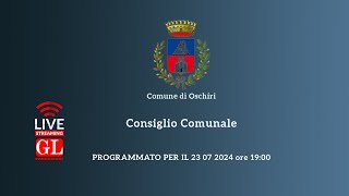 Consiglio Comunale del 23 07 2024 [upl. by Bird]