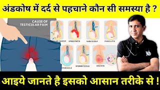 Testicular Pain  अंडकोष में दर्द की समस्या को कैसे पहचाने   By Dr Ramdeo Lamoria [upl. by Wall]