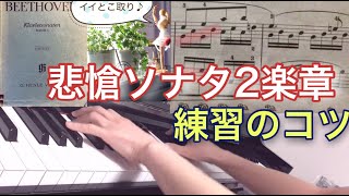 悲愴ソナタ2楽章（抜粋）ピアノ練習お助けレッスン ベートーヴェン クラシック名曲 [upl. by Ennovahs458]