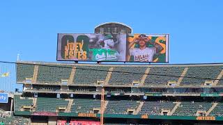 Oakland As Player Introduction Video At The Oakland Coliseum Oakland California 2024 Video 2 [upl. by Ardnikat]