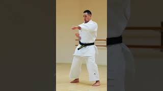 Shotokan Karate Punches EXPERT SPEED🥋🔥 [upl. by Nueoras]