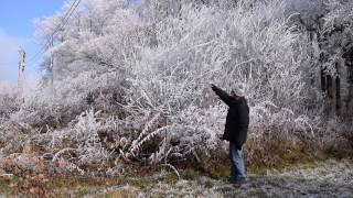 Le Potager du Paresseux  le 1er janvier sous le gel [upl. by Lagas]