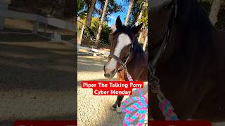 Free Piper content for Cyber Monday w EvanTheGroom horsesandhumor horse pony piperthepony [upl. by Dahs263]