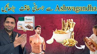 Ashwagandha ke fayde 2024  Ashwagandha Benefits For Men [upl. by Nirtak922]