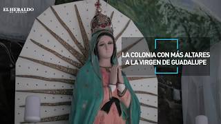 Colonia con más altares de la Virgen de Guadalupe Reportaje El Heraldo TV [upl. by Pack]