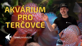 Zakládáme akvárium pro terčovce [upl. by Suertemed]