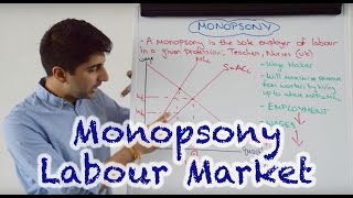 Monopsony  Labour Market Impact [upl. by Maude941]