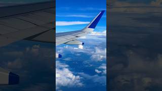 aviation pilot travel flight airways ig goair indigo aeroplane aeroplaneview notreal yt [upl. by Nozicka128]