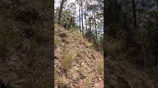 2025 Beta XPro 300 wall ride enduro betaXPro300 [upl. by Annairam626]