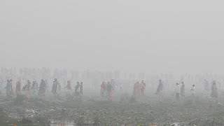 Angela Merkel exhorte lInde à lutter contre la pollution [upl. by Stanislaus]