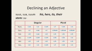 Latin for Beginners Lesson 10 FirstSecond Declension Adjectives [upl. by Eirahcaz56]