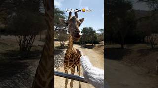 Al Ain Zoo to visit this winter [upl. by Gnud260]