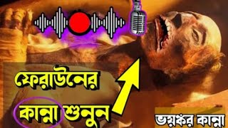 video ফেরাউনের কান্না শোনা যায় ফেরাউন হঠাৎ করে জীবিত হয়ে গেছে 🛑 [upl. by Shulins]