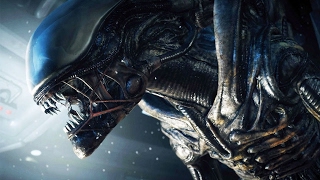 ALIEN  HISTÓRIA E BIOLOGIA DOS ASSUSTADORES XENOMORFOS [upl. by Ecirtram]