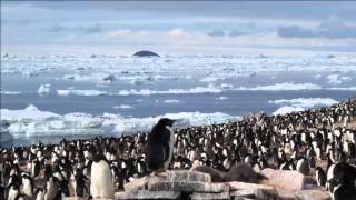 Antarctica aboard the MS Fram Jan 2011 [upl. by Arhsub264]