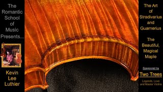 Stradivarius and Guarnerius Violins  Beautiful Magical Maple The Art Secrets Myths and Legends [upl. by Bowen]