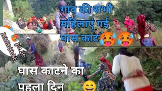 घास 🌿 काटने ka पहला दिन l। village life pahadi lifestyle vlog leelanegivlog uttrakhandi 🌄 [upl. by Kori]