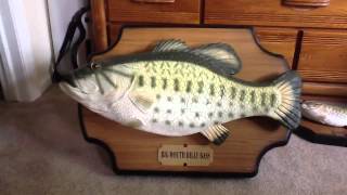 lakewi44s singing fish collection update [upl. by Sungam]