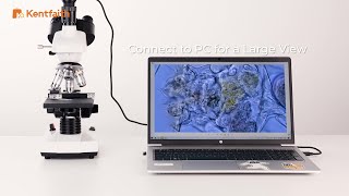 Introducing 40X 5000X Compound Trinocular Optical Microscope [upl. by Watters]