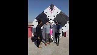 Basant in Pindi Pakistan 2019  30 TAWA patang [upl. by Iegres]