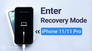 🙊How to Put iPhone 1111pro in Recovery Mode 2023 2 Free Ways [upl. by Nimajneb347]