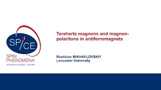 Talks  Ultrafast Antiferromagnetic Writing  Rostislav MIKHAYLOVSKIY Lancaster University [upl. by Arzed49]