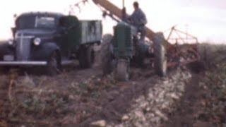 Sugar beet farming excerpt c1940 [upl. by Allegra629]