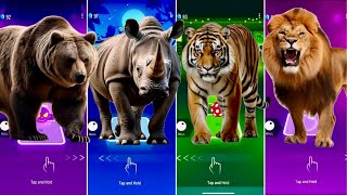 🦖 The Wild Bear vs Funny Rhinoceros vs The Tiger vs The King Lion  Coffin Dance 🪩 [upl. by Tenahs]