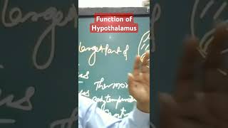 Functions of Hypothalamus [upl. by Cartwell]