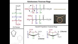 Lec10  The Haworth Projection and Chair Conformation of Sugars [upl. by Gena]