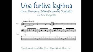 Una furtiva lagrima flute and guitar [upl. by Accemahs]