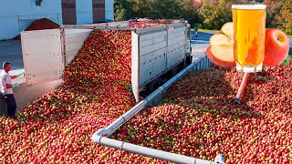 How Apple Juice Is Made In Factory  Modern Fruit Juice Making Technology  Food Factory [upl. by Harias]