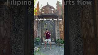 Panantukan x Espada  Kali  Arnis  Eskrima Filipino Boxing and Sword Flow [upl. by Okwu]