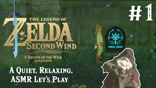 Quiet Relaxing ASMR LP  The Legend of Zelda Second Wind 1 Gossip Stones in BOTW [upl. by Nodnyl]