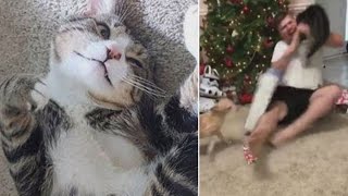 Man Defends Cat That Attacked Him While Opening Christmas Presents [upl. by Soren]