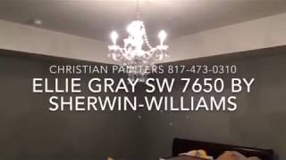 Ellie Gray paint color SW 7650 by SherwinWilliams [upl. by Assira]