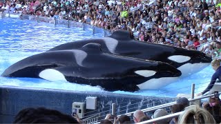 Orca Encounter Full Show  SeaWorld Orlando  February 26 2023 [upl. by Socrates]