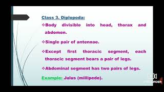 Animal Kingdom  Phylum Arthropoda Classification  Class 11 Neet Kashmiri Language [upl. by Emie]