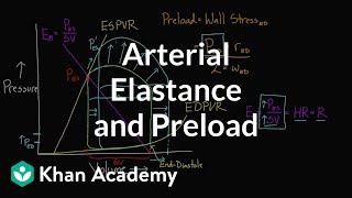 Arterial elastance Ea and preload  Circulatory system physiology  NCLEXRN  Khan Academy [upl. by Imeon]