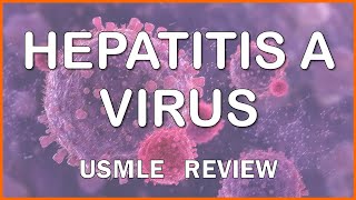 Hepatitis A Virus HAV for USMLE [upl. by Herson]