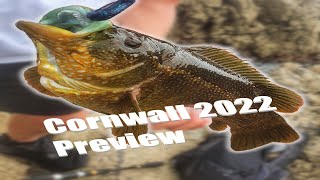 Fishing Cornwall 2022 Preview [upl. by Minsk424]