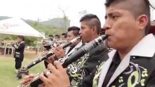 Banda Sabanera  Borrachin [upl. by Garek]