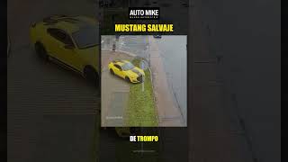 Mustang Salvaje [upl. by Anenahs]