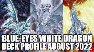 BLUEEYES WHITE DRAGON DECK PROFILE AUGUST 2022 YUGIOH [upl. by Eesyak]